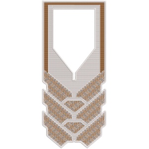 ERIAG0056: Agbada Embroidery Design