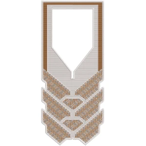 ERIAG0056: Agbada Embroidery Design