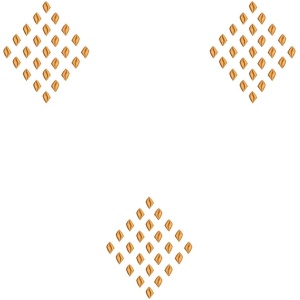 ERIFP0350: Senator/Kaftan Embroidery Design