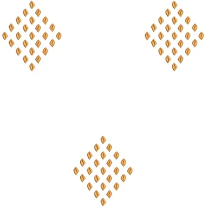 ERIFP0350: Senator/Kaftan Embroidery Design
